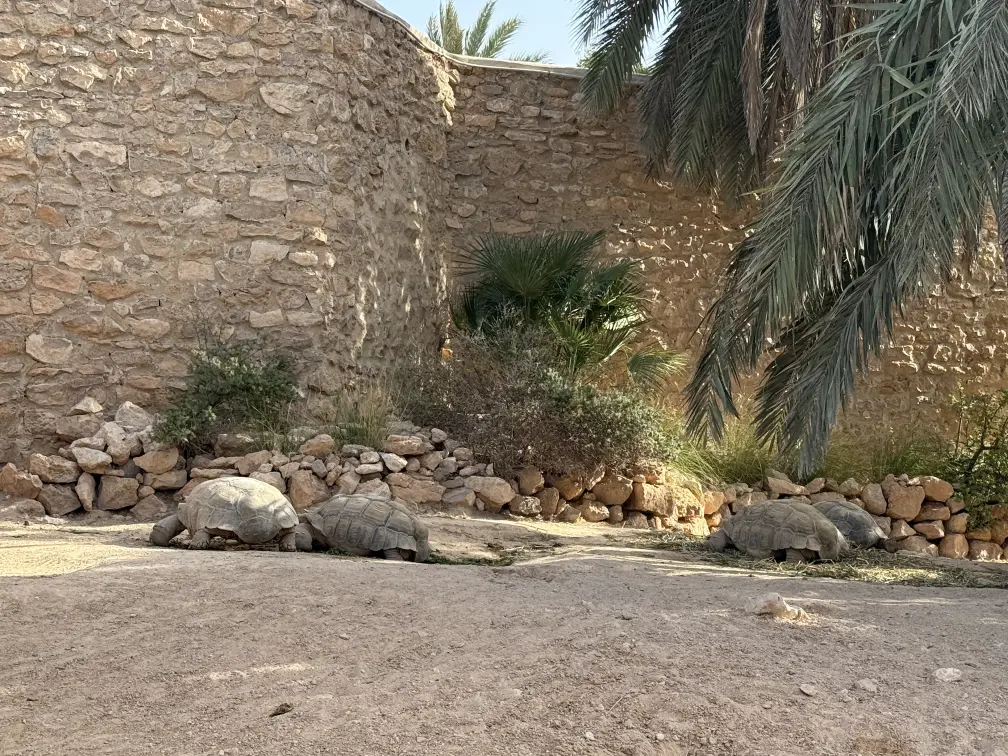 WakacjeLataczy.pl – rodzinny przewodnik po podróżach, hotelach, atrakcjach i ciekawych miejscach do zobaczenia 16 IMG 2295